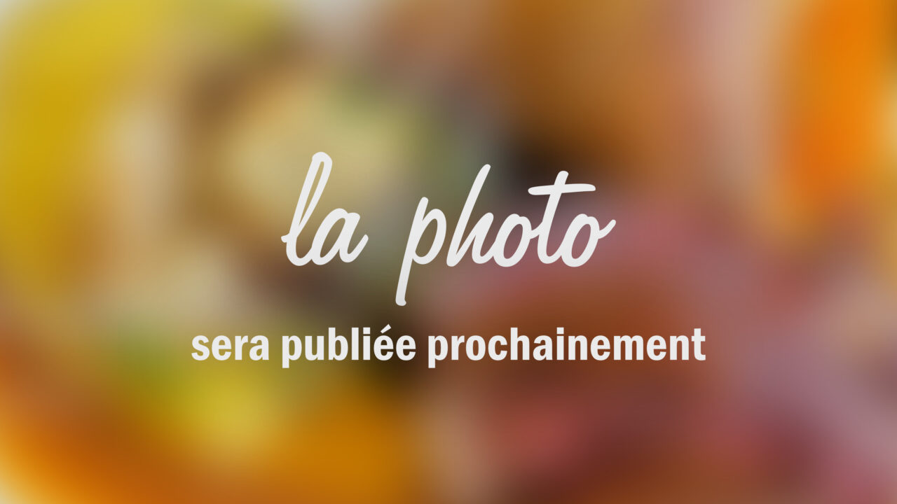 Sugestion du soir