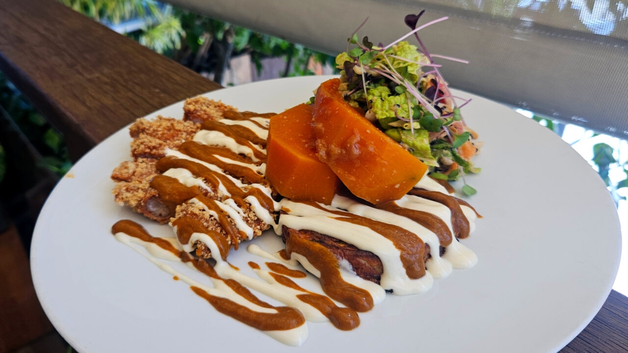 Plat côté Terre