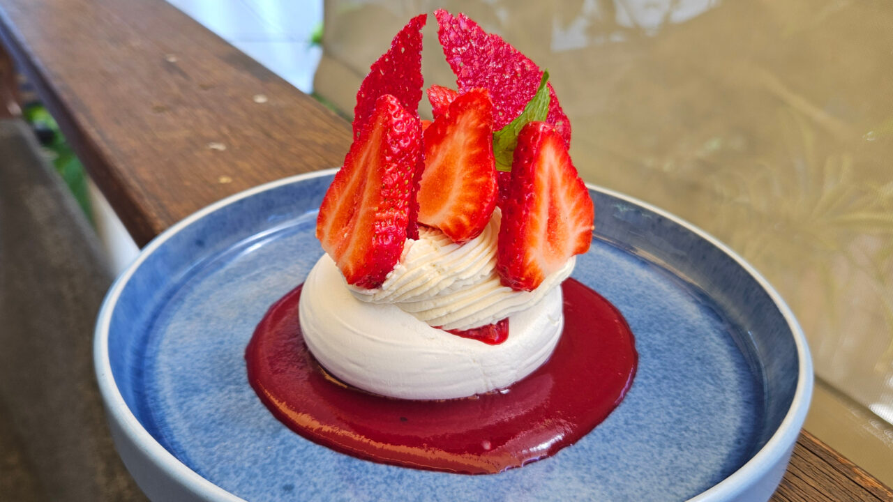 PAVLOVA